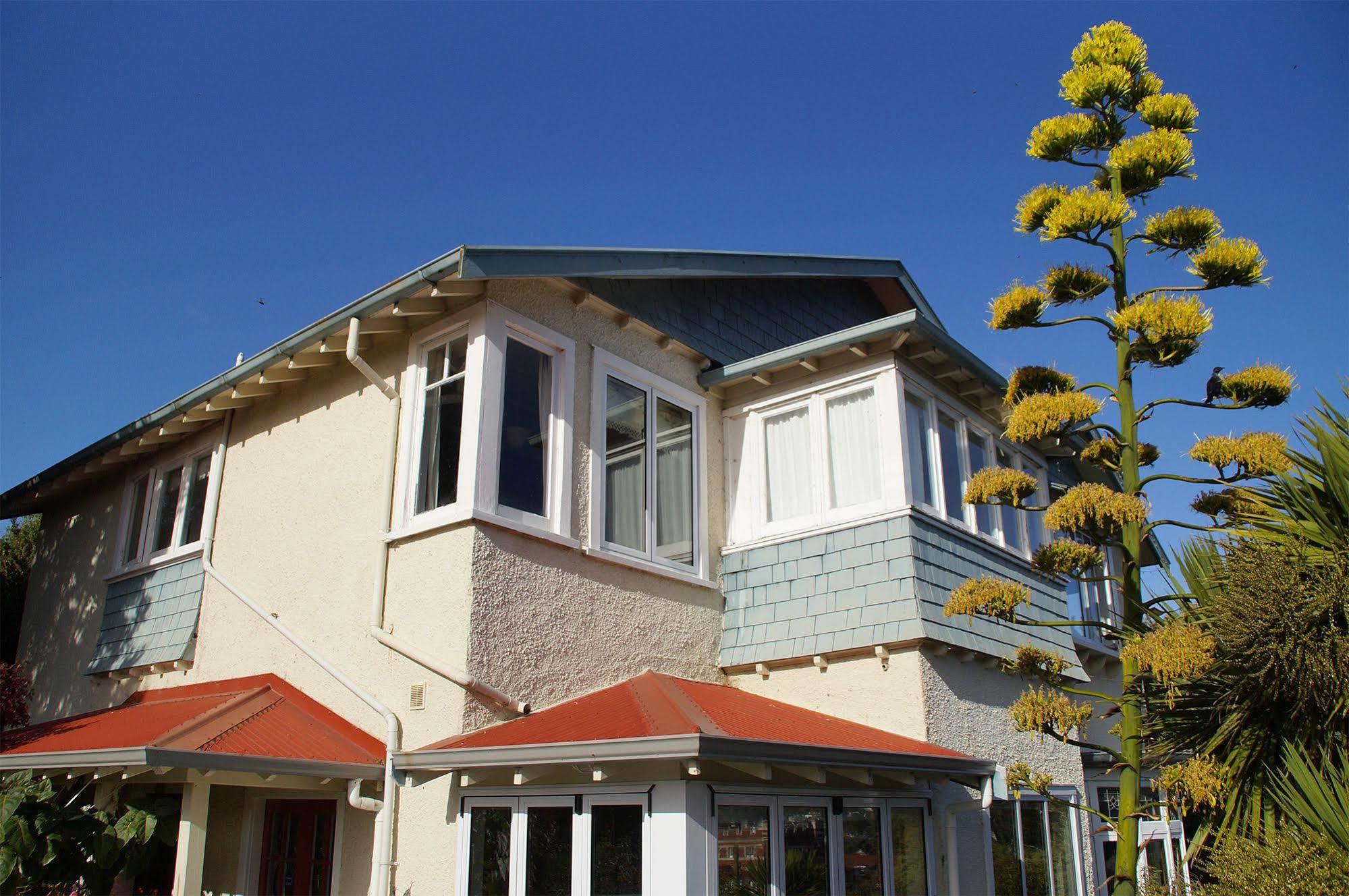 Arden Street House Dunedin Exterior foto